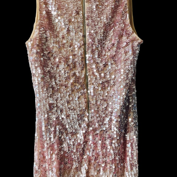 👗French Connection Starlight Ombré Sequin Dress - Mellow Rose 🩷 | Size 8 | $50 - Picture 4 of 12